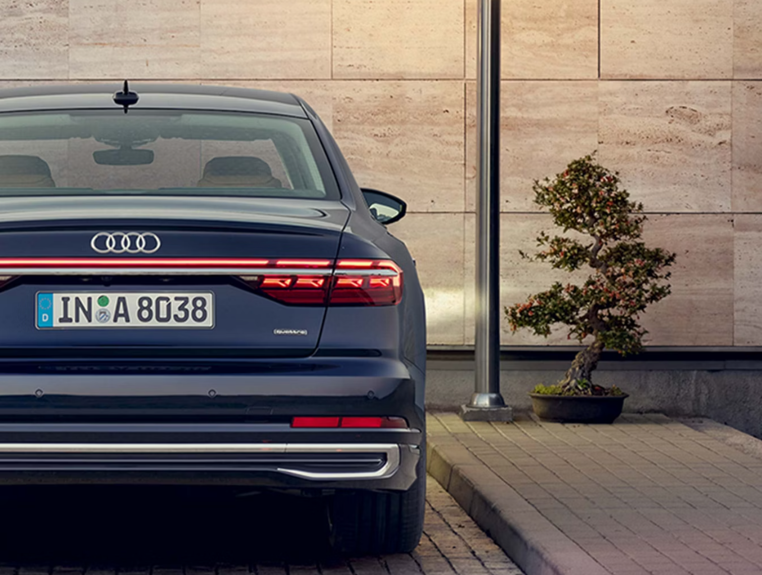 Thu hút mọi sự chú ý